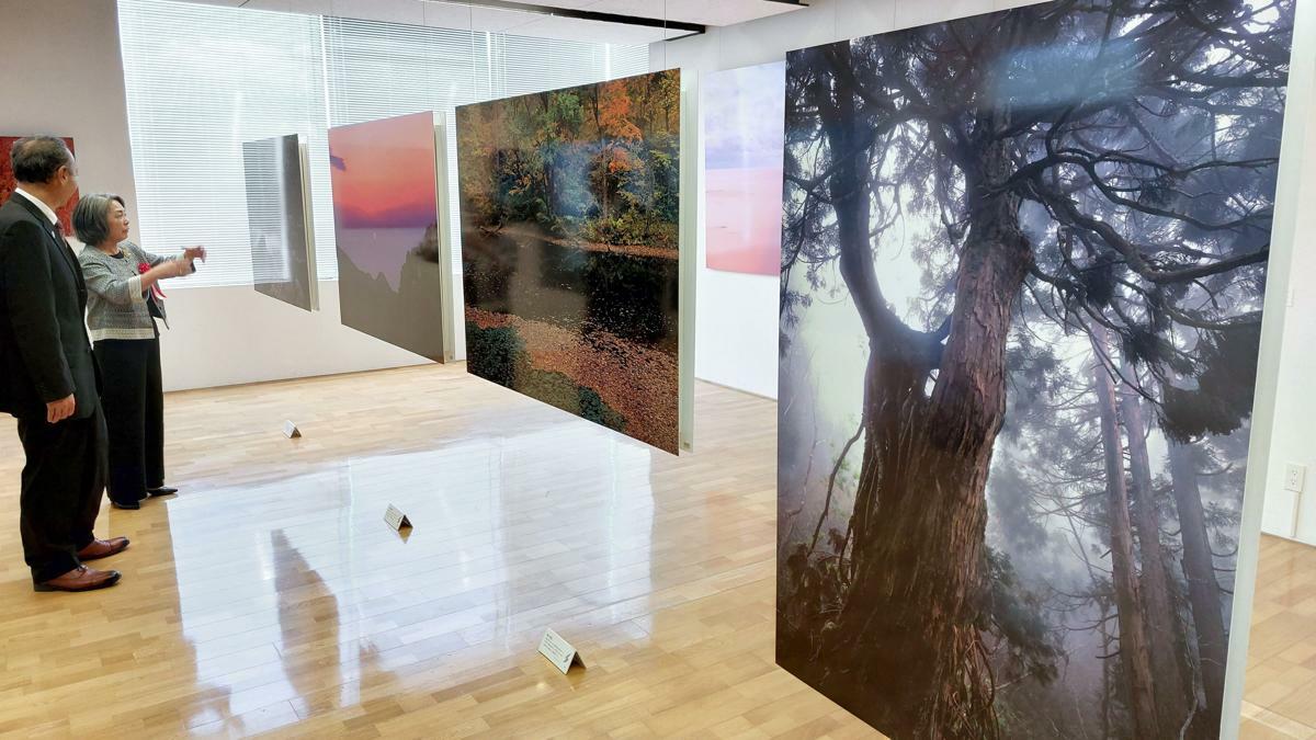 佐渡の豊かな自然の写真が並ぶ天野尚さん作品の常設展示コーナー＝１０月２２日、佐渡市両津夷
