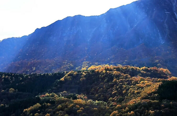 薄明光線を受けて輝く秋山郷の紅葉