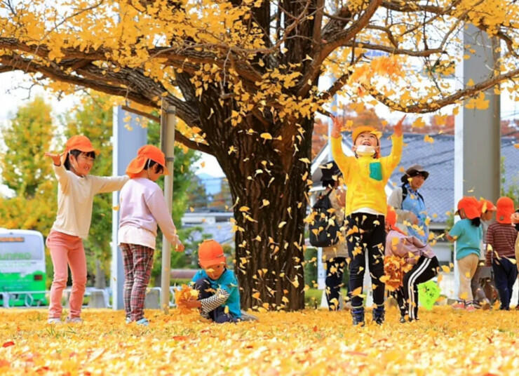 一面に散ったイチョウの葉で遊ぶ子どもたち＝６日、松本市美須々
