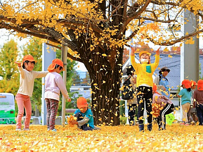 落葉と戯れ、黄色き世界　松本市のイチョウ並木、晩秋の風情