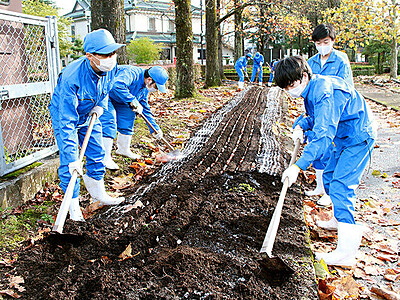 チューリップフェア開催に一役　富山県砺波市の会場花壇に高校生が球根植え付け