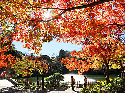 とやまの紅葉２０２３　高岡古城公園、堀端彩る秋色