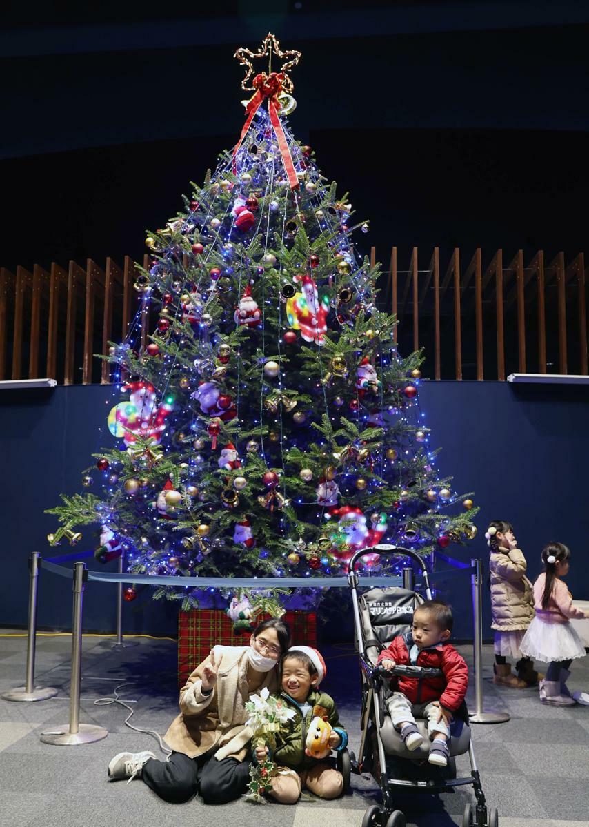 マリンピア日本海に登場した高さ約５メートルのクリスマスツリー＝１１月２３日、新潟市中央区