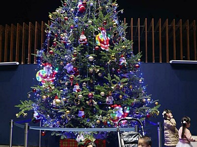 ギョギョっ！輝く2000個の電球、うつくＳｅａ♪魚も驚く巨大クリスマスツリー、マリンピア日本海に登場・新潟市中央区