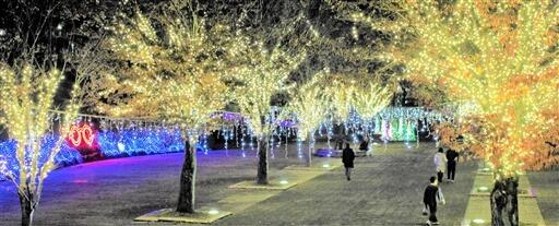 樹木などに取り付けられた電飾が輝く中央広場＝１１月２７日夜、福井県鯖江市西山公園