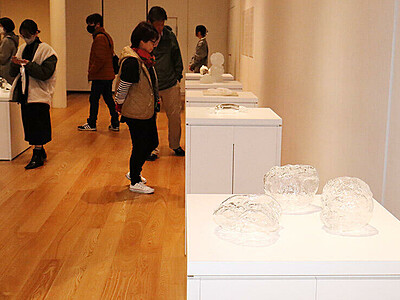 富山での出会い表現　チェコから来県のガラス作家、ガラス美術館で展覧会