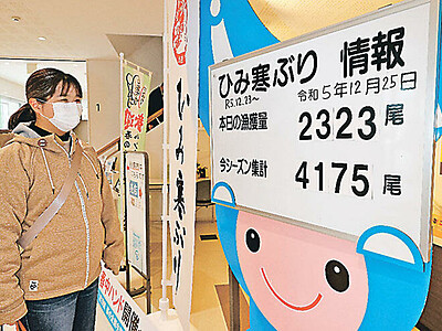 「ひみ寒ぶり」３季ぶり２０００本超　市役所に情報掲示板
