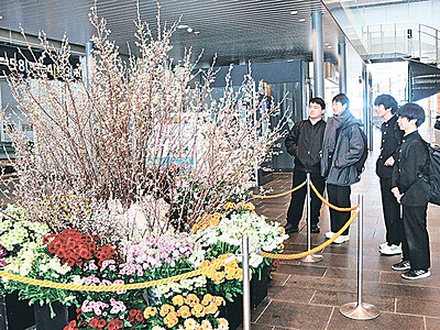 市の玄関口、花で華やか　富山駅に切り花６１０本飾る