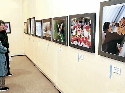 人物や自然など秀作５５点　北國写真展加賀展が市美術館で開幕