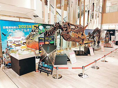砺波市のチューリップフェアで恐竜骨格標本や化石展示　新幹線延伸の福井と連携