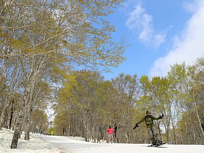 さぁ春スキーシーズン到来！　奥只見丸山スキー場（魚沼市）3月20日オープン、5月ごろまで滑れます♪