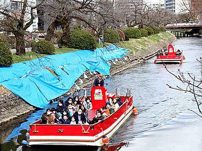 船上お花見楽しみ　富山・松川の遊覧船、２３日から本格運航