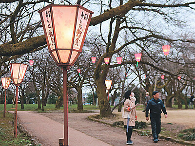 高岡古城公園のぼんぼり点灯　４月１日から桜まつり