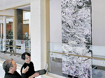 金沢の四季「掛け軸」に映す　 しいのき迎賓館　 ＬＥＤパネルで桜や雪景色
