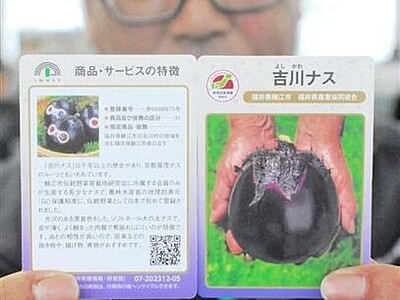 吉川ナスに限定カード　福井県鯖江市の伝統野菜、地団カード完成　限定1500枚配布